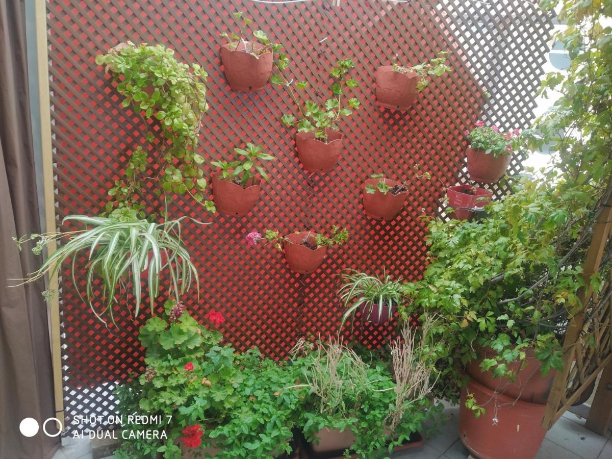 Habitacion Familiar En Un Atico Con Gran Terraza Y,Cocina ,En La Playa ブリアナ エクステリア 写真